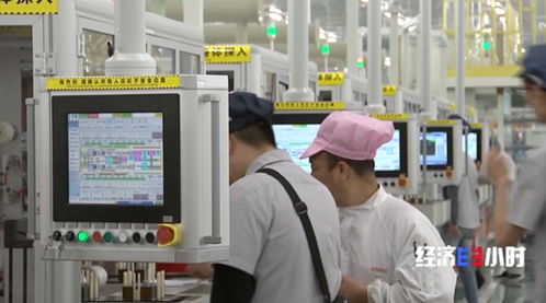 价格下降，热度不减 中国光伏产业交出亮眼成绩单，合肥企业如何借力腾飞