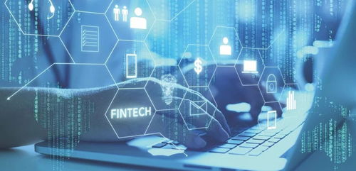 香港理工大学推出全新课程，助力合肥企业网站建设迈向新高度